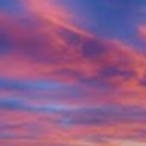 Meet your Posher, Neely